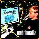 edinburgh multimedia design